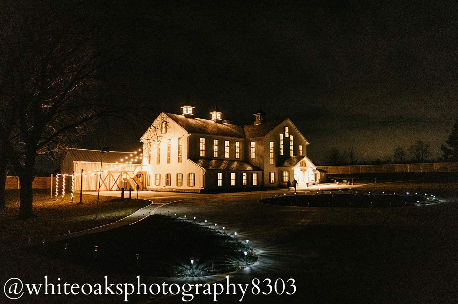 Gallery image 11