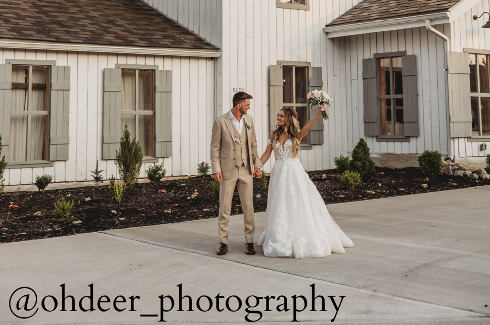 Gallery image 39